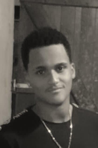 Abelhão