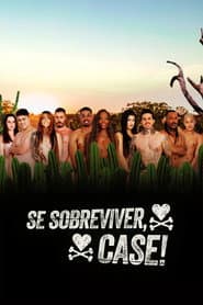 Sezon 3