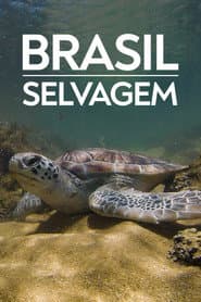 Sezon 3
