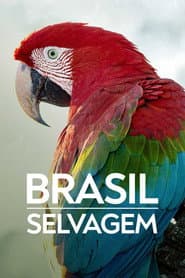 Sezon 1