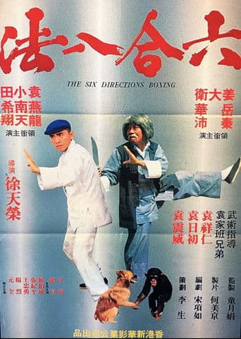 六合八法