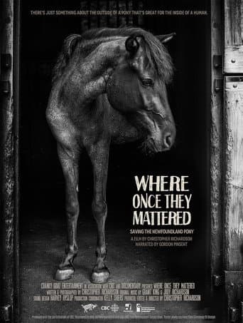 Where Once They Mattered