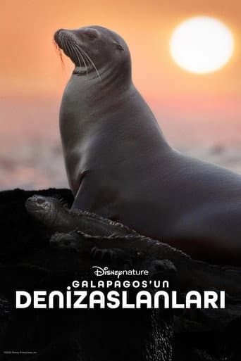 Galapagos'un Denizaslanları