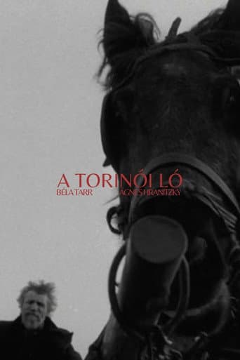 Torino Atı