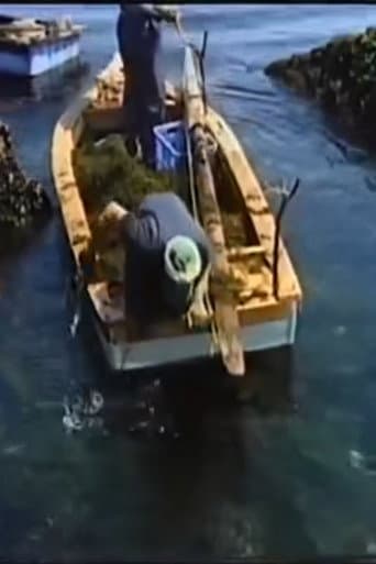 海とお月さまたち