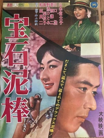 宝石泥棒