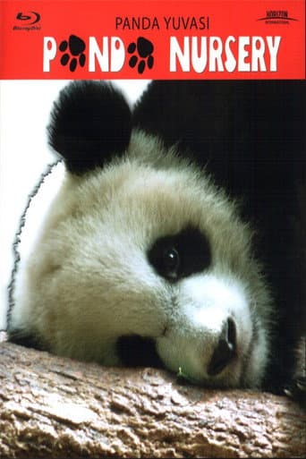 Panda Yuvası