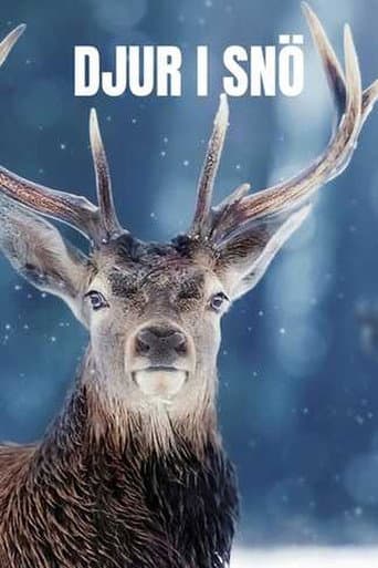 Snow Animals