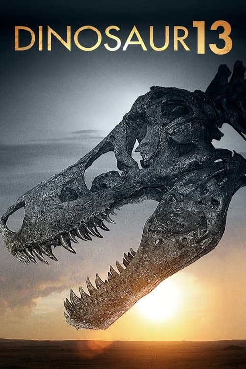 Dinosaur 13