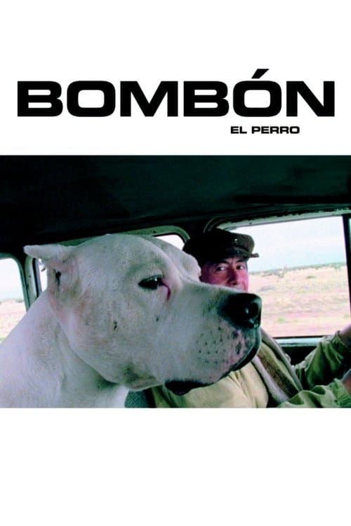 Köpek Bombon