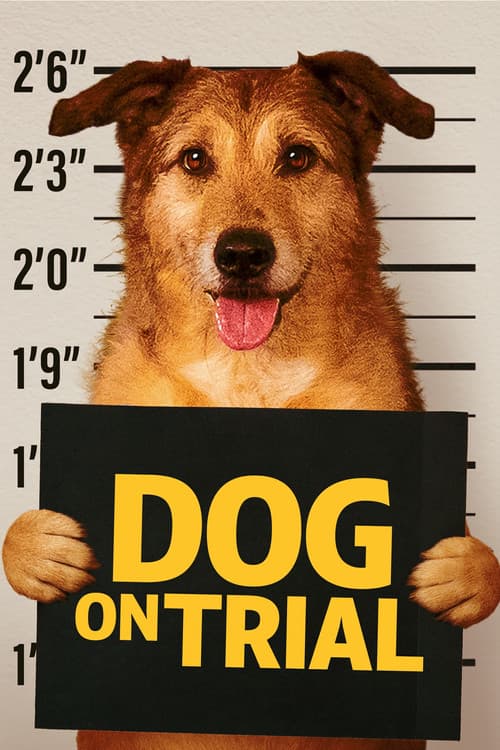 Köpek Davası