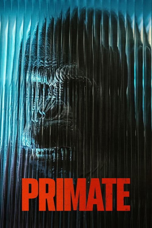 Primat
