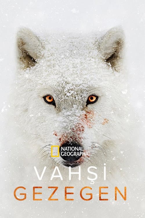 Vahşi Gezegen