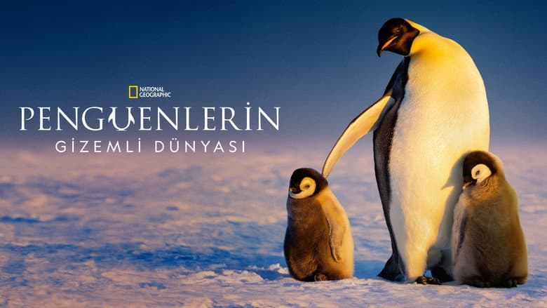 Penguenlerin Gizemli Dünyası Görsel 1