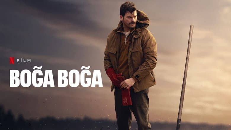 Boğa Boğa Görsel 1