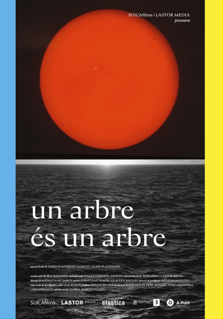 Un arbre és un arbre