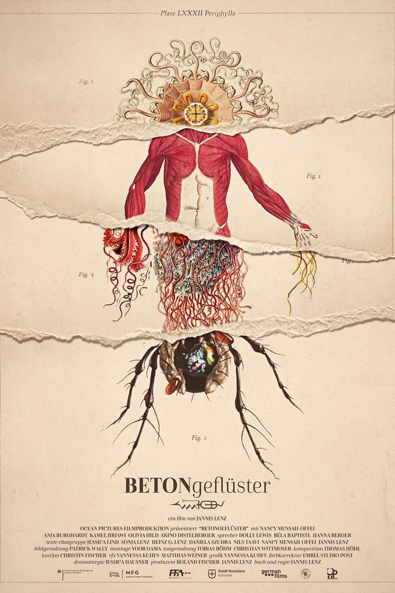 Betongeflüster