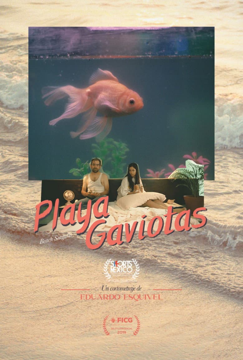 Playa Gaviotas