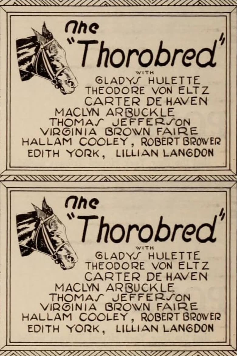 The Thoroughbred