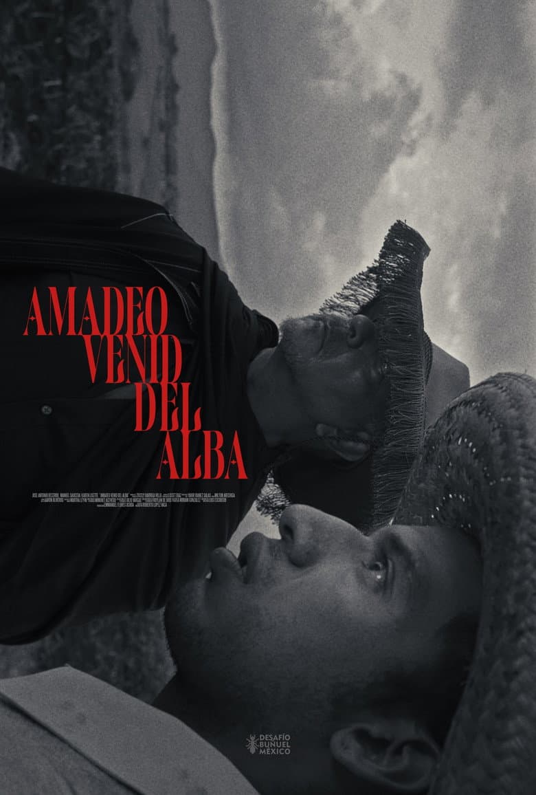 Amadeo Venid del Alba