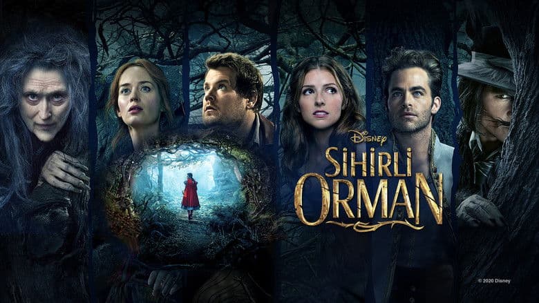 Sihirli Orman Görsel 1