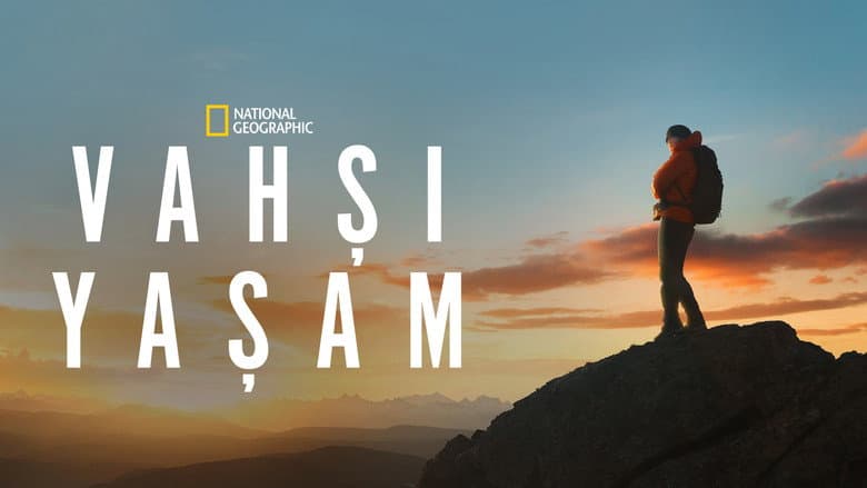 Vahşi Yaşam Görsel 2
