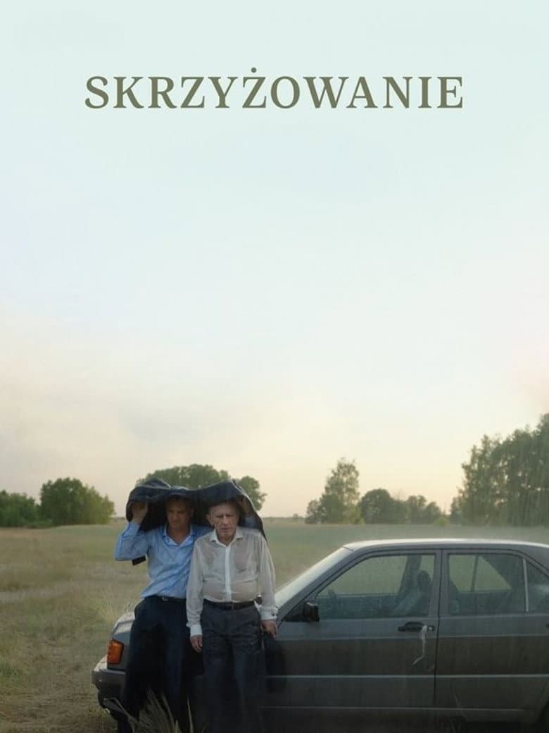 Skrzyżowanie