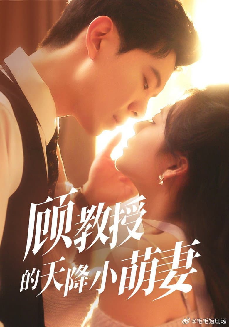 顾教授的天降小萌妻
