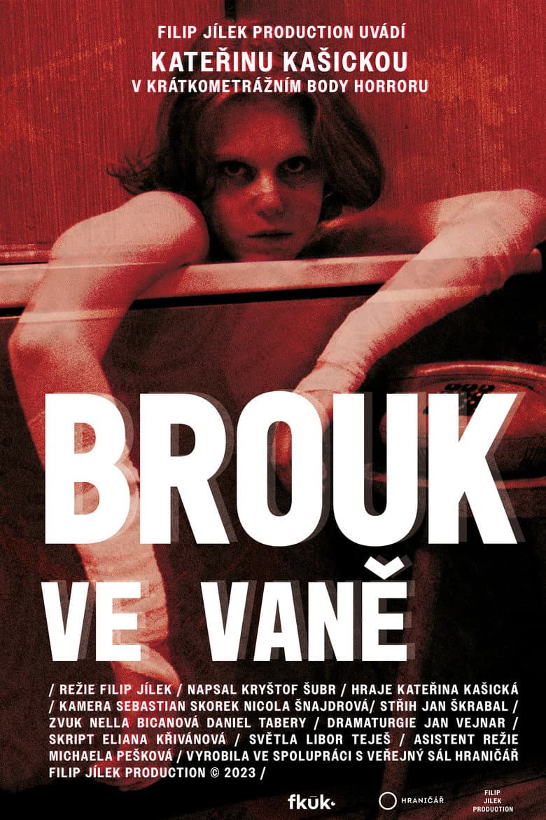 Brouk ve vaně