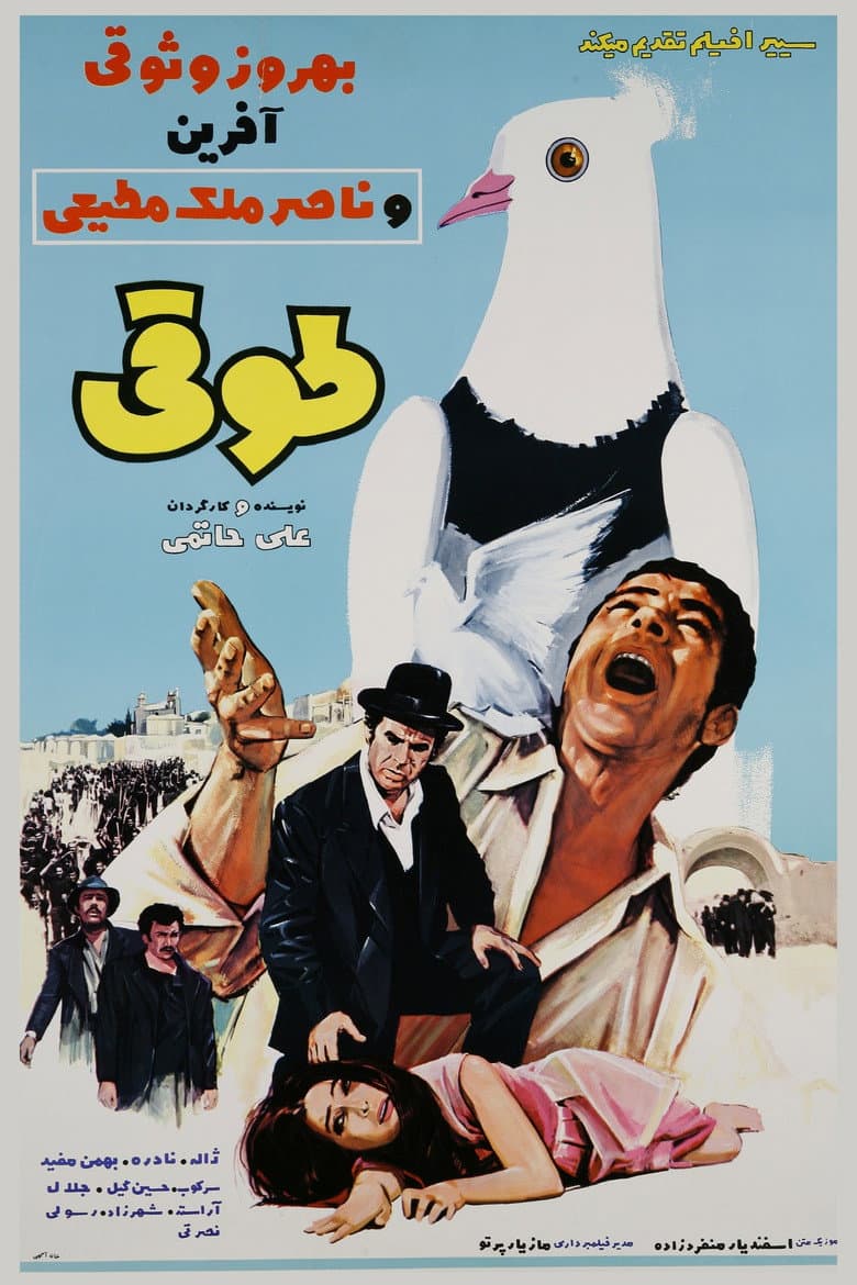 طوقی