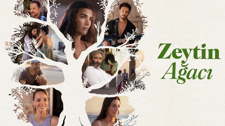 Zeytin Ağacı Görsel 2