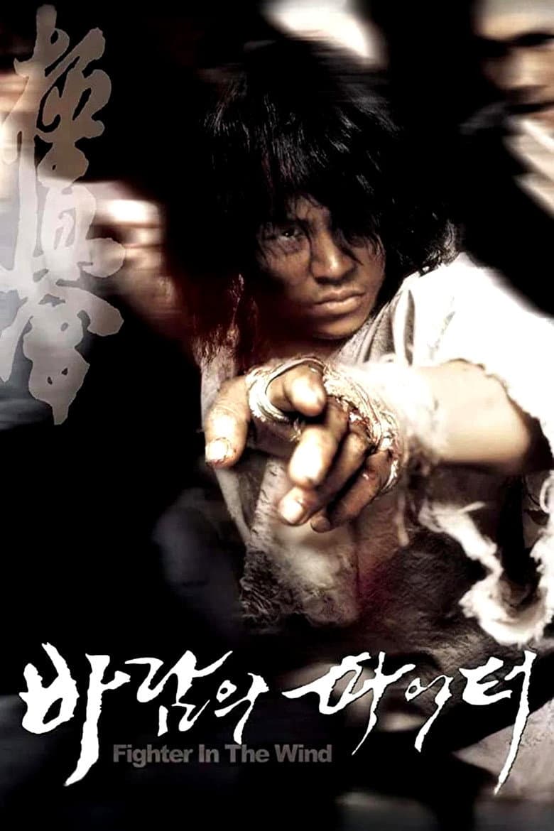 바람의 파이터