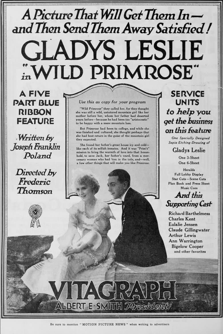 Wild Primrose
