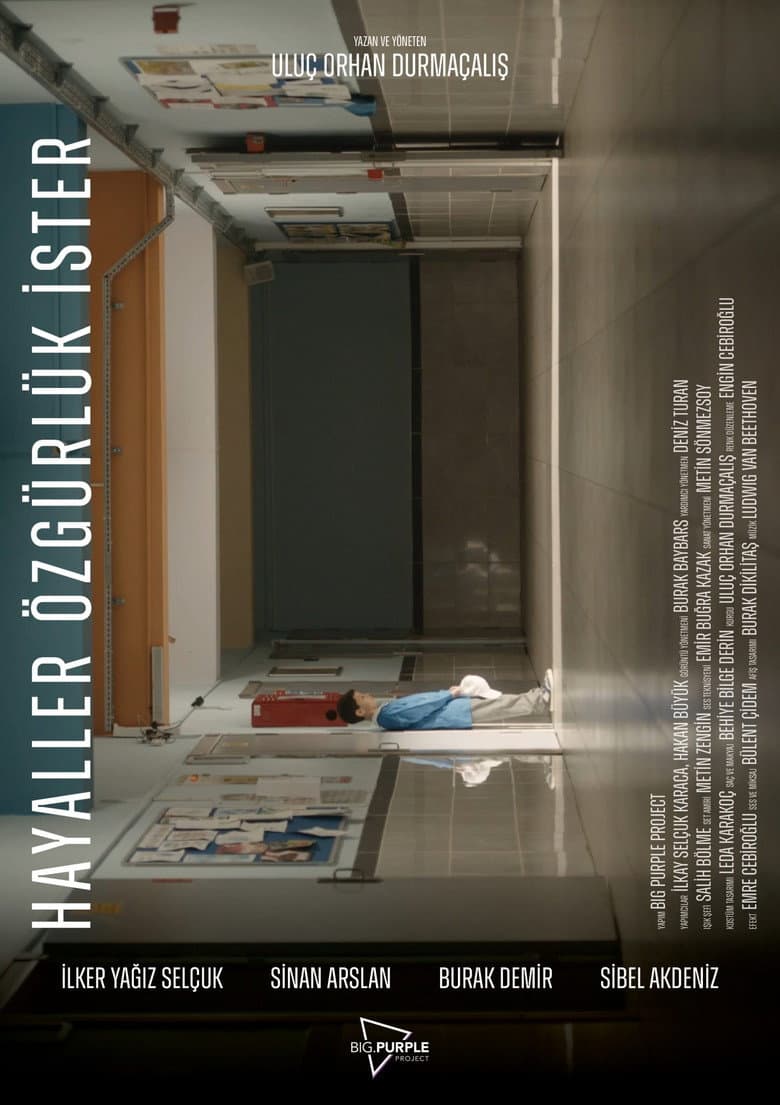 Hayaller Özgürlük İster