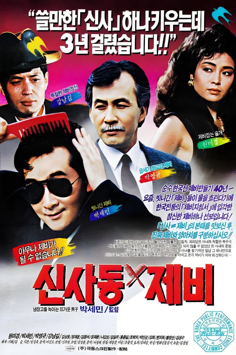 신사동 제비