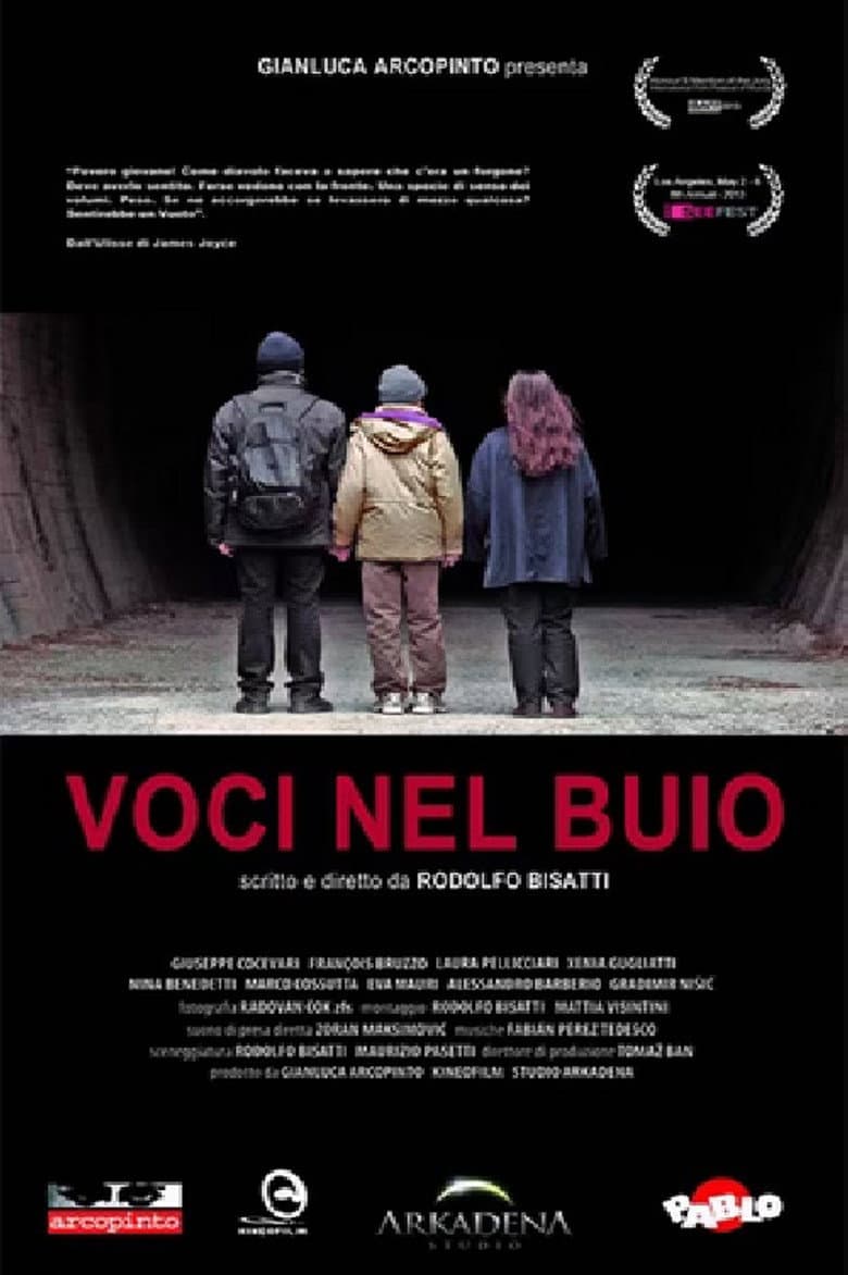Voci nel buio