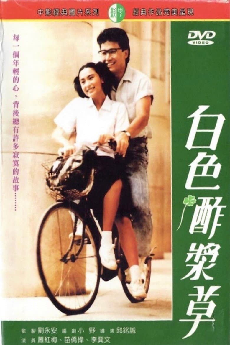白色酢漿草