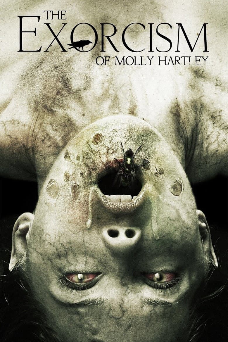 Molly Hartley'nin Laneti 2