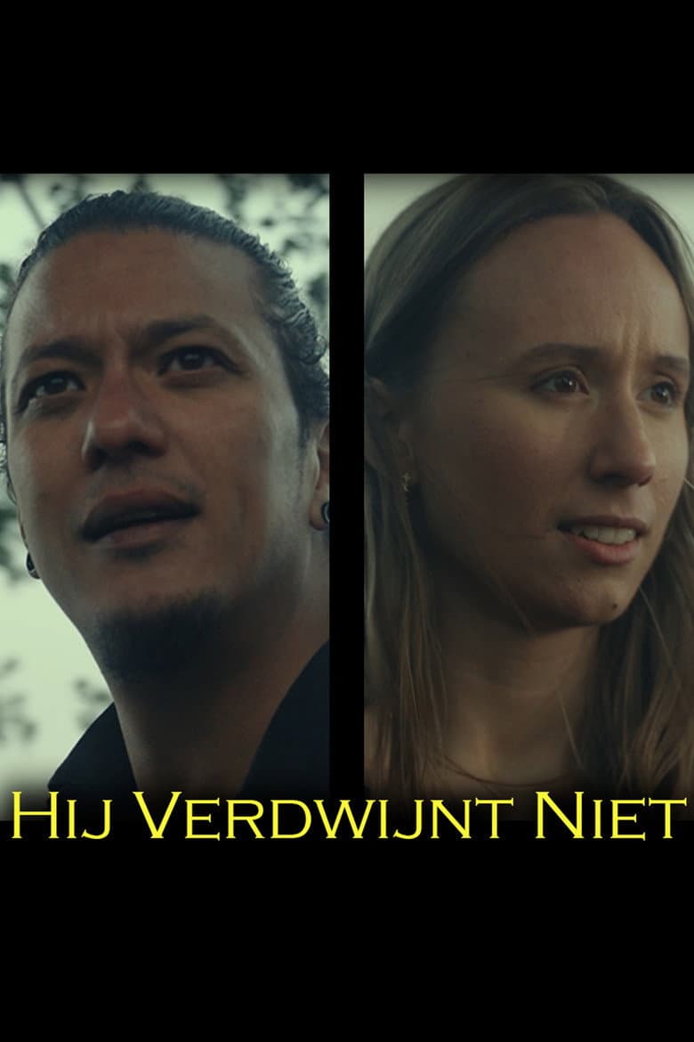 Hij Verdwijnt Niet