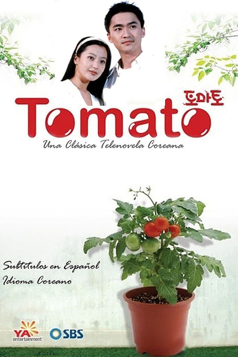 토마토