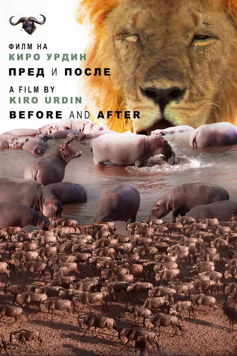 Пред и после