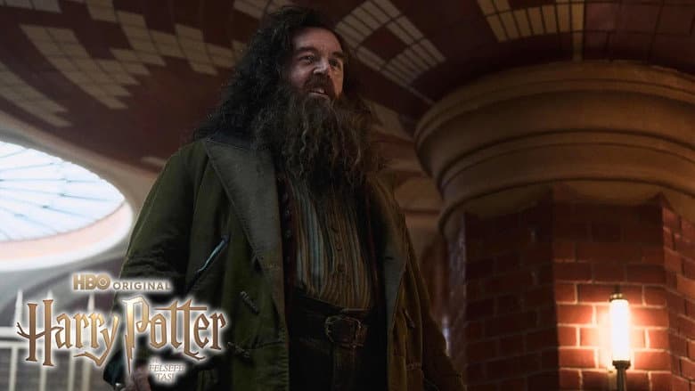 Harry Potter Görsel 1