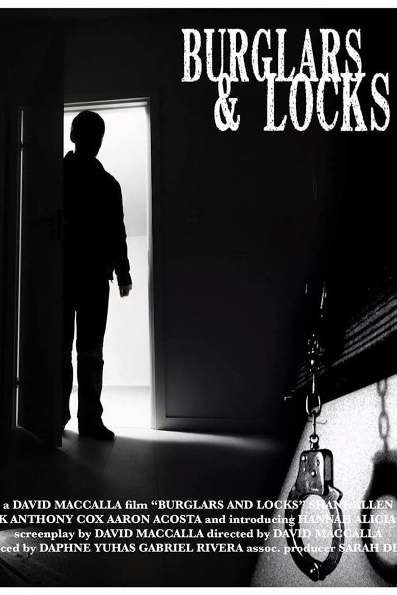 Burglars & Locks