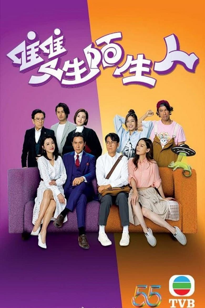 雙生陌生人