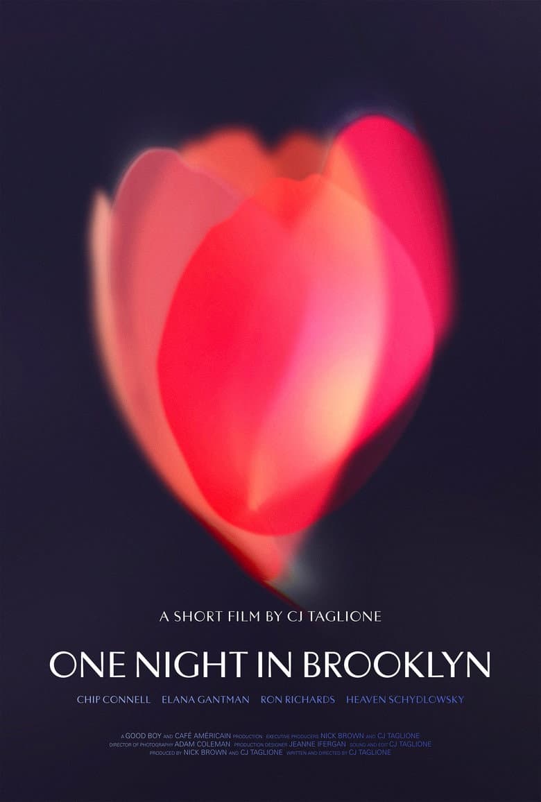 One Night in Brooklyn