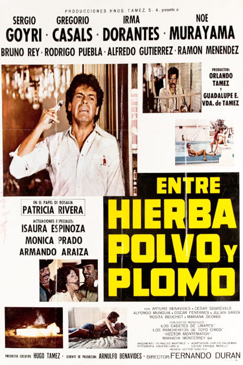 Entre Hierba, Polvo y Plomo