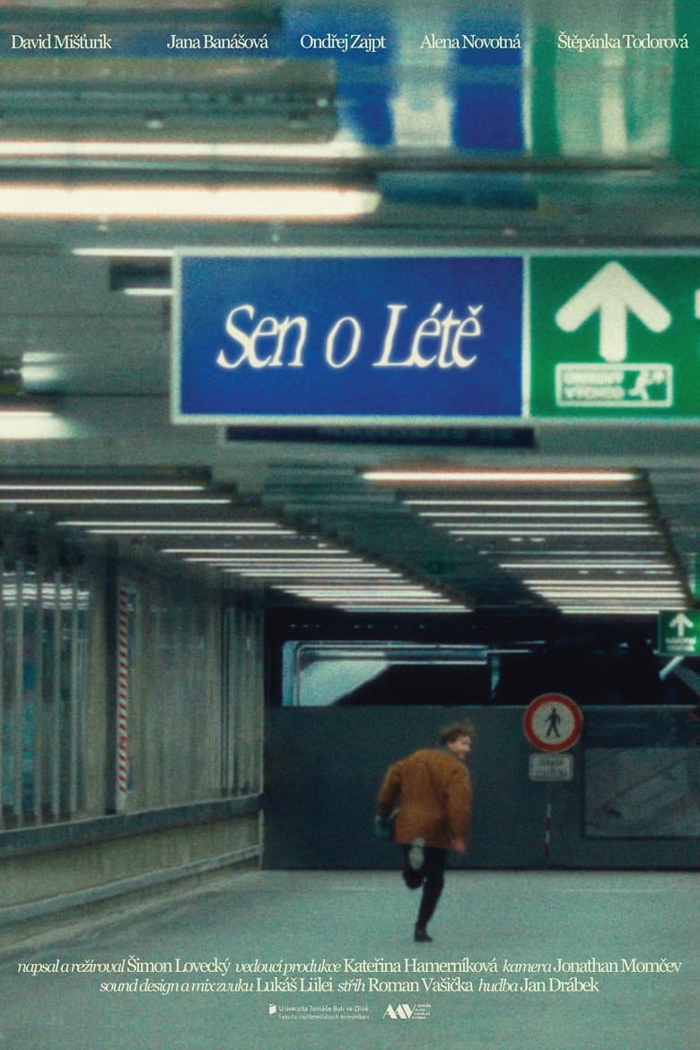 Sen o Létě