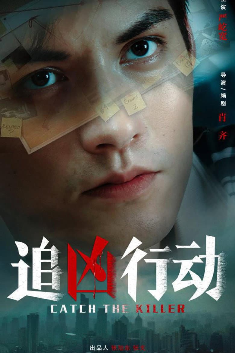 追凶行动