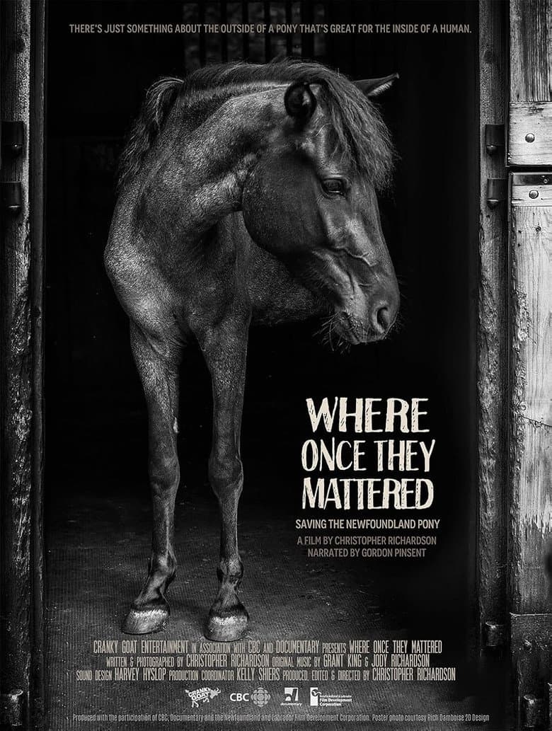 Where Once They Mattered