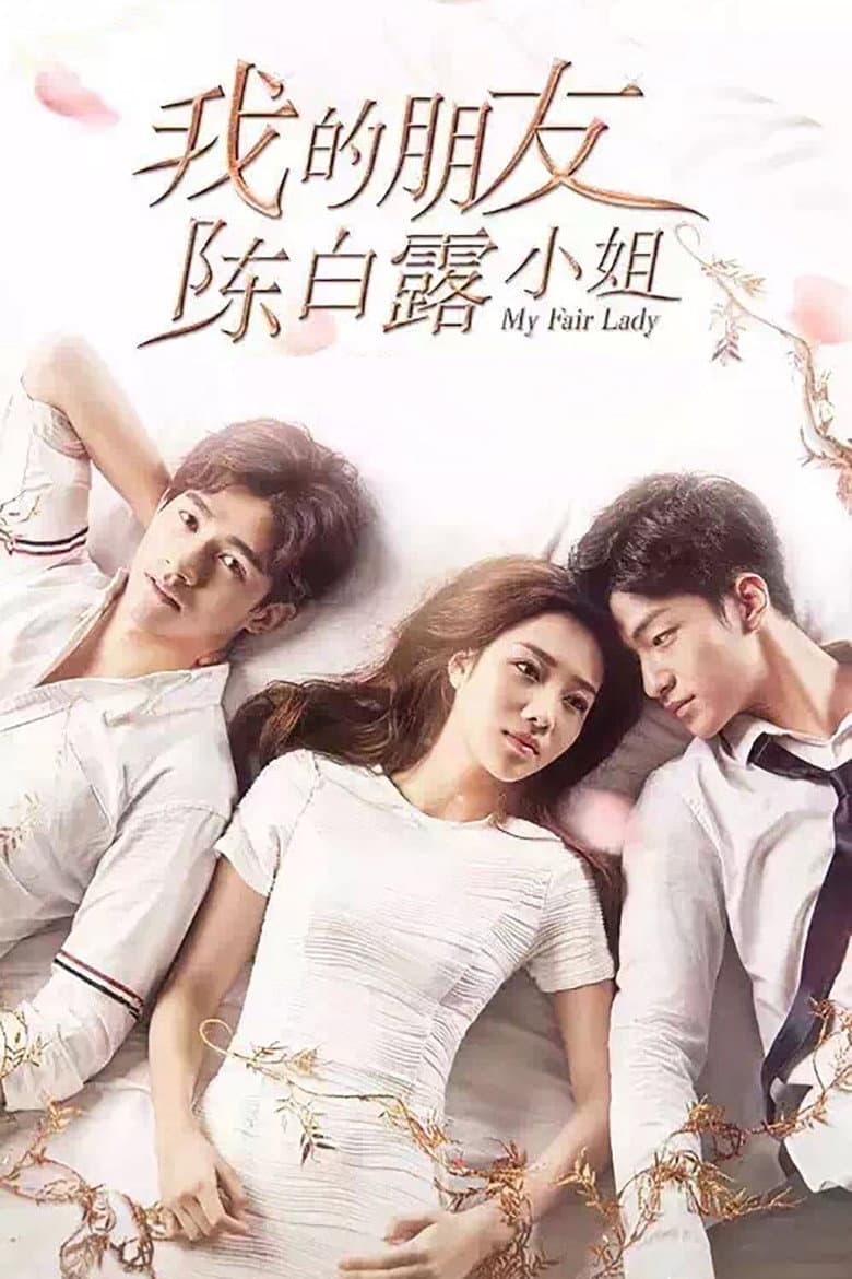 我的朋友陈白露小姐